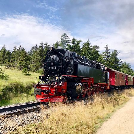 Fewo Ruebezahl Mit Kamin #Innenstadtnaehe#Netflix Von Harztraveler Bad Harzburg Exterior foto